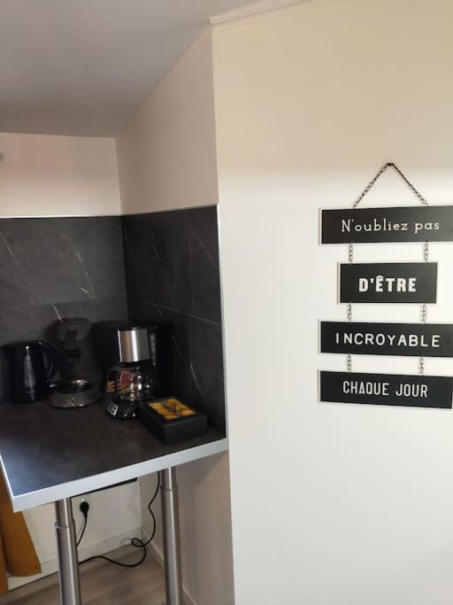 Le P'Tit Jeanne D'Arc Logements Insolites Nancy Eksteriør billede